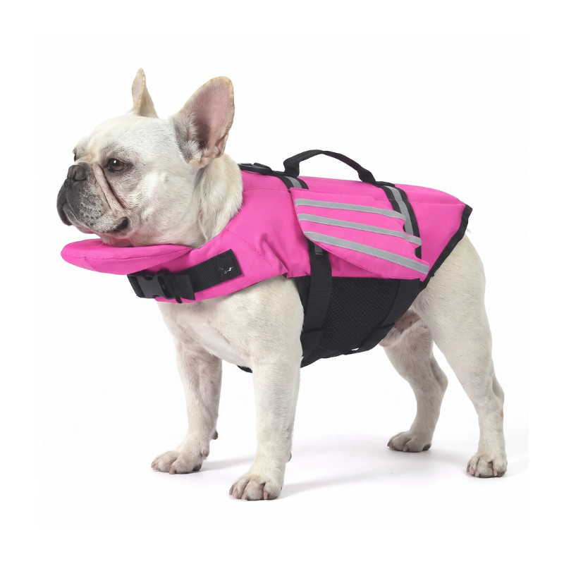 PawliSplash™ Life Vest with Chin Flotation